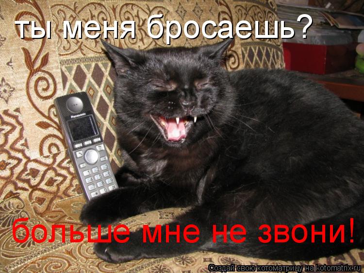 ты меня бросаешь? больше мне не звони!... Котоматрица: ты меня бросаешь? больше мне не звони!