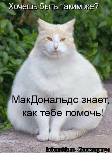 Хочешь быть таким же? МакДональдс знает, как тебе помочь!... Котоматрица: Хочешь быть таким же? МакДональдс знает, как тебе помочь!