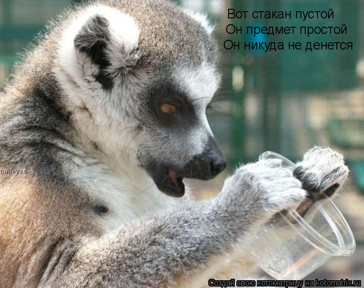 Вот стакан пустой Он предмет простой Он никуда не денется... Котоматрица: Вот стакан пустой Он предмет простой Он никуда не денется