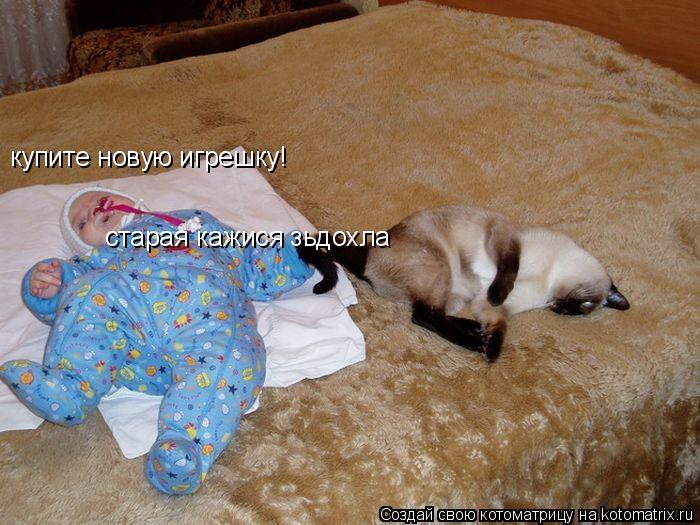 купите новую игрешку! старая кажися зьдохла... Котоматрица: купите новую игрешку! старая кажися зьдохла