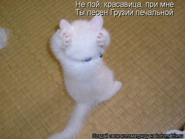 Не пой, красавица, при мне Ты песен Грузии печальной... Котоматрица: Не пой, красавица, при мне Ты песен Грузии печальной