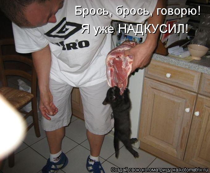 Брось, брось, говорю! Я уже НАДКУСИЛ!... Котоматрица: Брось, брось, говорю! Я уже НАДКУСИЛ!