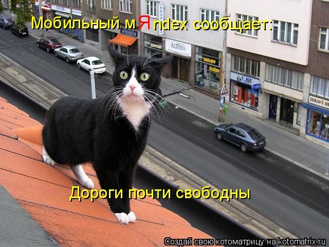 Мобильный м Я ndex сообщает: Дороги почти свободны... Котоматрица: Мобильный м Я ndex сообщает: Дороги почти свободны