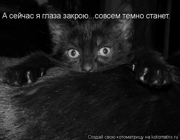 Котоматрица: А сейчас я глаза закрою...совсем темно станет.