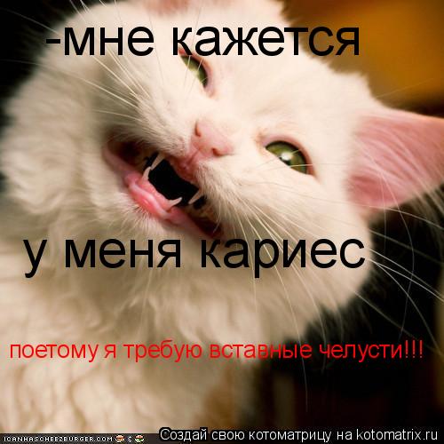 -мне кажется у меня кариес поетому я требую вставные челусти!!!... Котоматрица: -мне кажется у меня кариес поетому я требую вставные челусти!!!