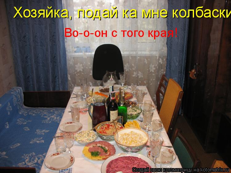 Хозяйка, подай ка мне колбаски Во-о-он с того края!... Котоматрица: Хозяйка, подай ка мне колбаски Во-о-он с того края!