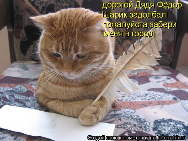 дорогой Дядя Фёдор, Шарик задолбал! пожалуйста,забери меня в город!... Котоматрица: дорогой Дядя Фёдор, Шарик задолбал! пожалуйста,забери меня в город!