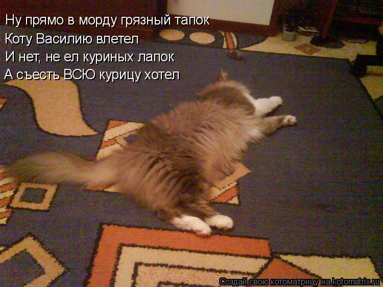 Ну прямо в морду грязный тапок Коту Василию влетел И нет, не ел куриных лапок А съесть ВСЮ курицу хот... Котоматрица: Ну прямо в морду грязный тапок Коту Василию влетел И нет, не ел куриных лапок А съесть ВСЮ курицу хотел