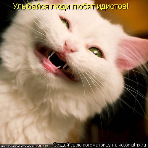 Улыбайся люди любят идиотов!... Котоматрица: Улыбайся люди любят идиотов!