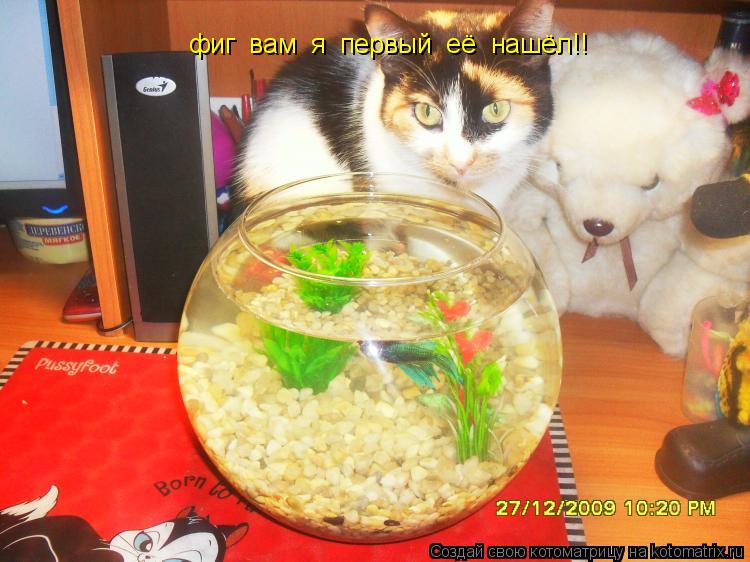 Котоматрица: фиг  вам  я  первый  её  нашёл!!