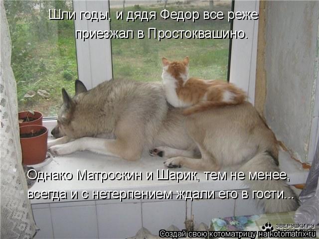 Шли годы, и дядя Федор все реже приезжал в Простоквашино. Однако Матроскин и Шарик, тем не менее, в... Котоматрица: Шли годы, и дядя Федор все реже приезжал в Простоквашино. Однако Матроскин и Шарик, тем не менее, всегда и с нетерпением ждали его в гости...