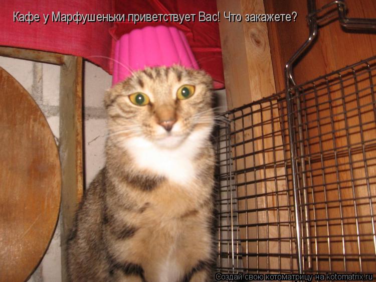 Котоматрица: Кафе у Марфушеньки приветствует Вас! Что закажете?