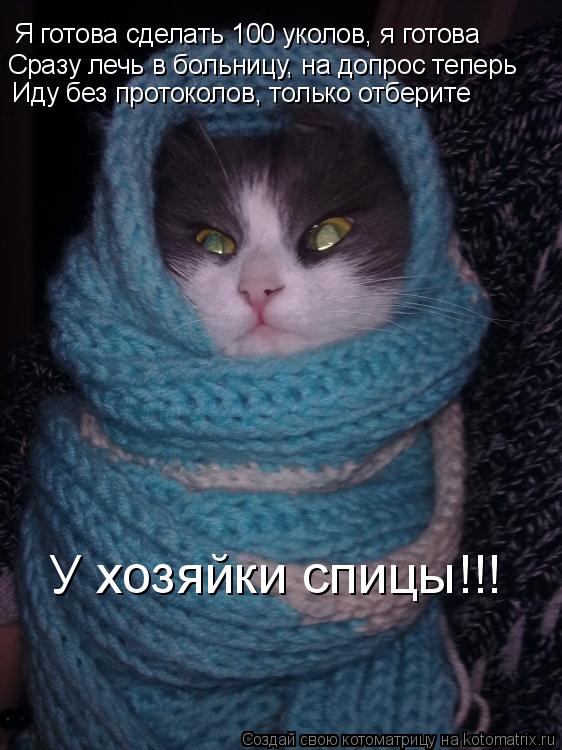 Я готова сделать 100 уколов, я готова Сразу лечь в больницу, на допрос теперь Иду без протоколов, то... Котоматрица: Я готова сделать 100 уколов, я готова Сразу лечь в больницу, на допрос теперь Иду без протоколов, только отберите У хозяйки спицы!!!