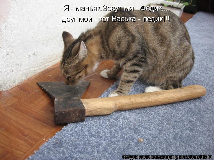 Котоматрица: Я - маньяк.Зовут мя - Федик.... друг мой - кот Васька - педик!!!