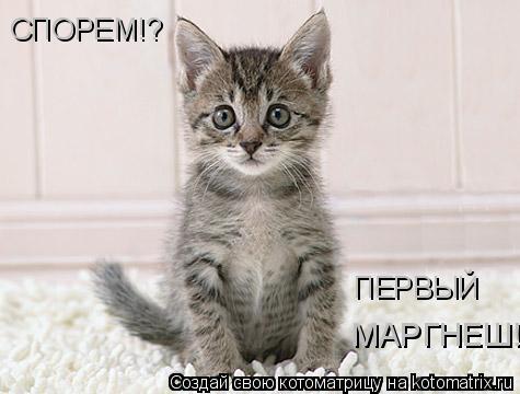 СПОРЕМ!? МАРГНЕШ! ПЕРВЫЙ... Котоматрица: СПОРЕМ!? МАРГНЕШ! ПЕРВЫЙ