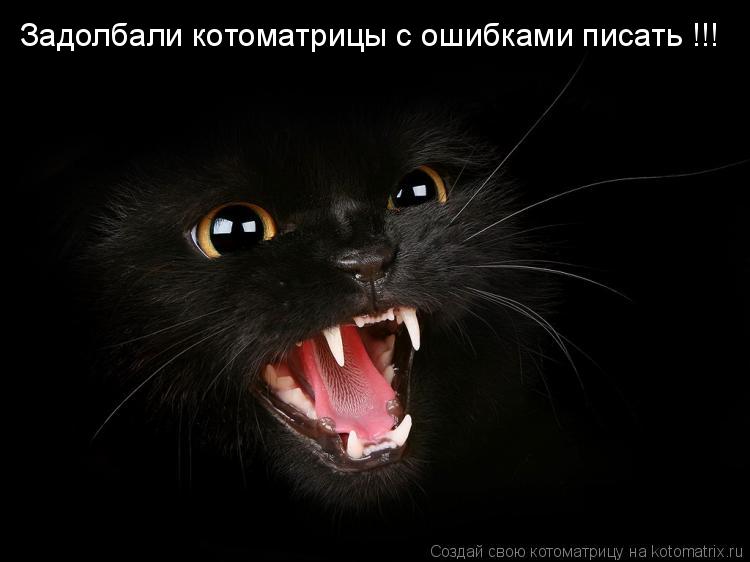Задолбали котоматрицы с ошибками писать !!!... Котоматрица: Задолбали котоматрицы с ошибками писать !!!