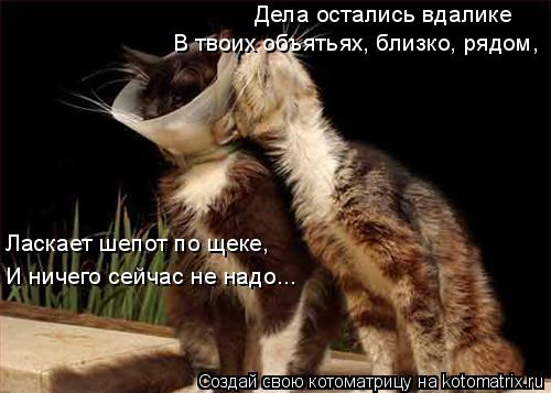 Дела остались вдалеке, В твоих объятьях, близко, рядом, Дела oстались вдалике Ласкает шепот по щеке, ... Котоматрица: Дела остались вдалеке, В твоих объятьях, близко, рядом, Дела oстались вдалике Ласкает шепот по щеке, И ничегo сейчас не надo...