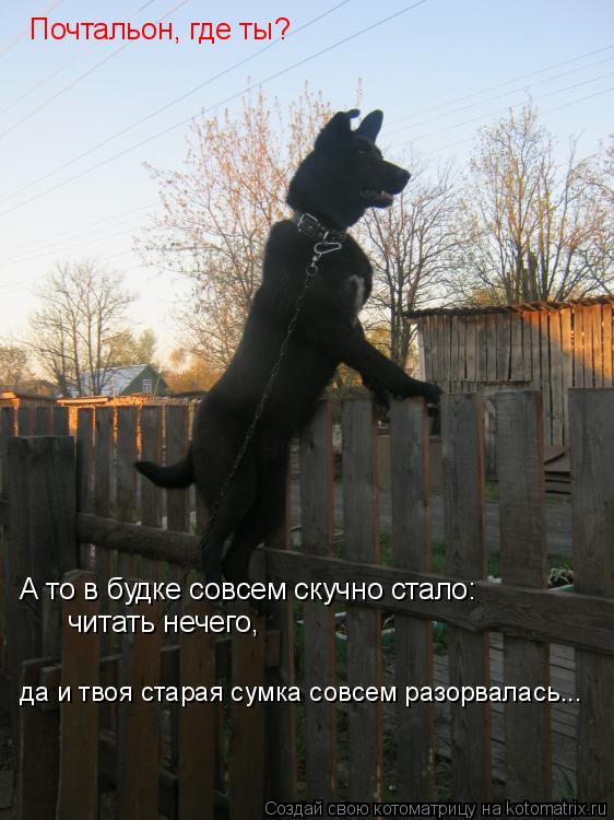 А то в будке совсем скучно стало: Почтальон, где ты? да и твоя старая сумка совсем разорвалась... чит... Котоматрица: А то в будке совсем скучно стало: Почтальон, где ты? да и твоя старая сумка совсем разорвалась... читать нечего,