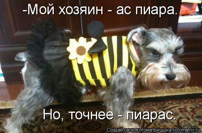 Котоматрица: -Мой хозяин - ас пиара.  Но, точнее - пиарас.
