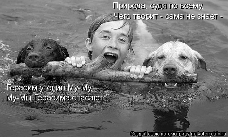 Котоматрица: Герасим утопил Му-Му, Му-Мы Герасима спасают... Природа, судя по всему, Чего творит - сама не знает -