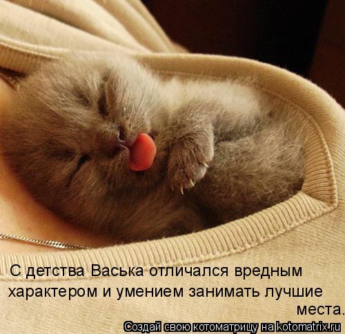 С детства Васька отличался вредным характером и умением занимать лучшие места.... Котоматрица: С детства Васька отличался вредным характером и умением занимать лучшие места.