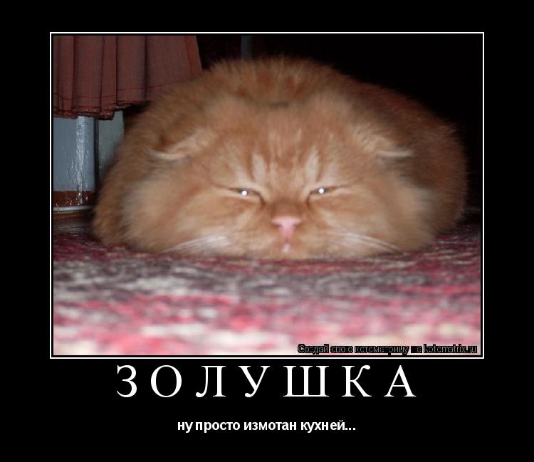 Золушка ну просто измотан кухней...... Котоматрица: Золушка ну просто измотан кухней...