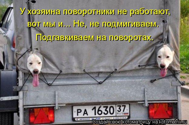 У хозяина поворотники не работают, вот мы и... Не, не подмигиваем. Подгавкиваем на поворотах.... Котоматрица: У хозяина поворотники не работают, вот мы и... Не, не подмигиваем. Подгавкиваем на поворотах.
