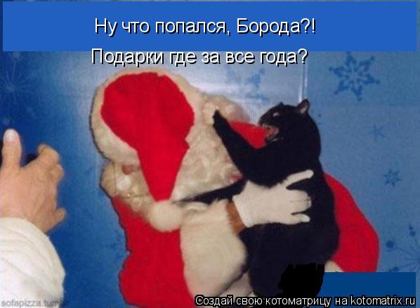 Ну что попался, Борода?! Подарки где за все года?... Котоматрица: Ну что попался, Борода?! Подарки где за все года?