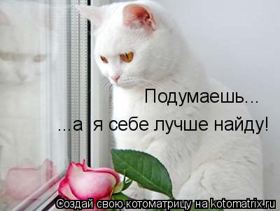 Котоматрица: Подумаешь... ...а  я себе лучше найду!