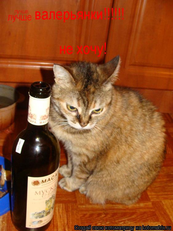не хочу! валерьянки!!!!!! лучше лучше... Котоматрица: не хочу! валерьянки!!!!!! лучше лучше