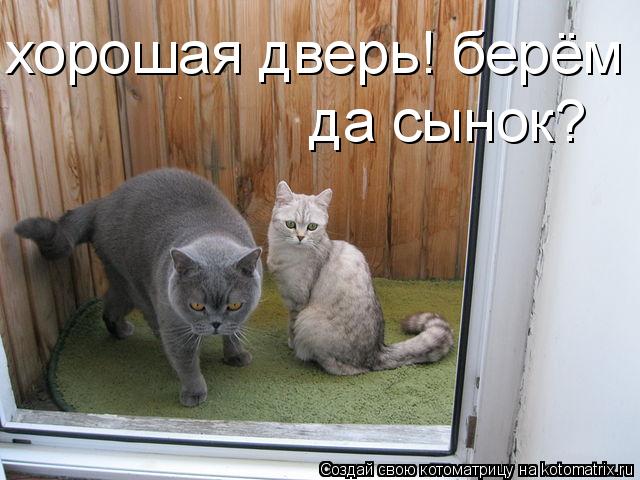 Котоматрица: хорошая дверь! берём да сынок?
