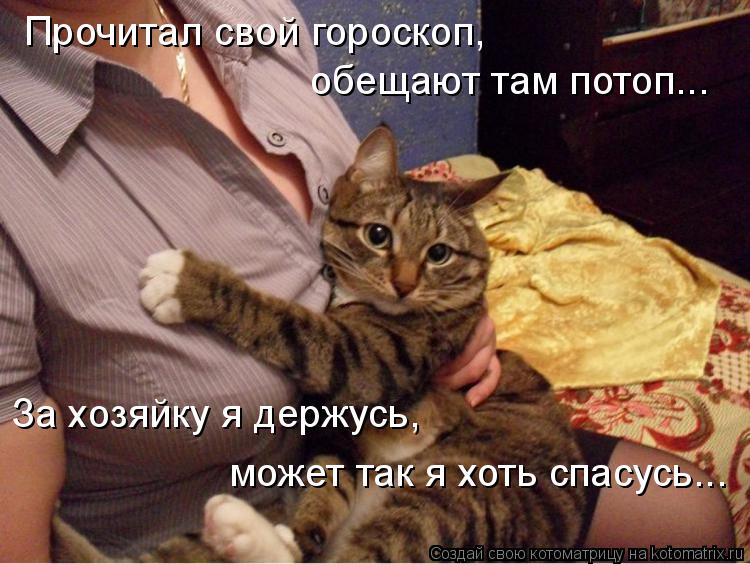 Прочитал свой гороскоп, обещают там потоп... За хозяйку я держусь, может так я хоть спасусь...... Котоматрица: Прочитал свой гороскоп, обещают там потоп... За хозяйку я держусь, может так я хоть спасусь...