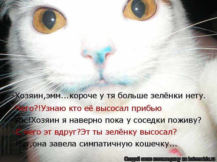 -Хозяин,эмм...короче у тя больше зелёнки нету. -Чего?!Узнаю кто её высосал прибью -Упс!Хозяин я навер... Котоматрица: -Хозяин,эмм...короче у тя больше зелёнки нету. -Чего?!Узнаю кто её высосал прибью -Упс!Хозяин я наверно пока у соседки поживу? -С чего эт вдруг?Э
