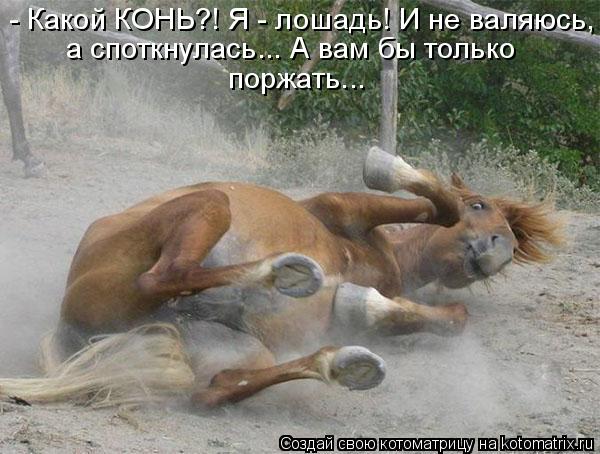 - Какой КОНЬ?! Я - лошадь! И не валяюсь, а споткнулась... А вам бы только поржать...... Котоматрица: - Какой КОНЬ?! Я - лошадь! И не валяюсь, а споткнулась... А вам бы только поржать...