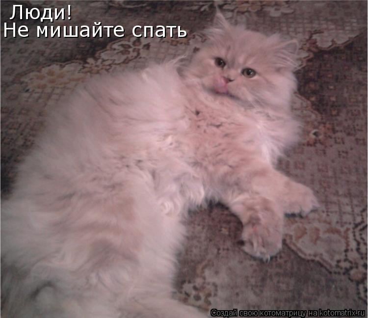 Люди! Не мишайте спать... Котоматрица: Люди! Не мишайте спать