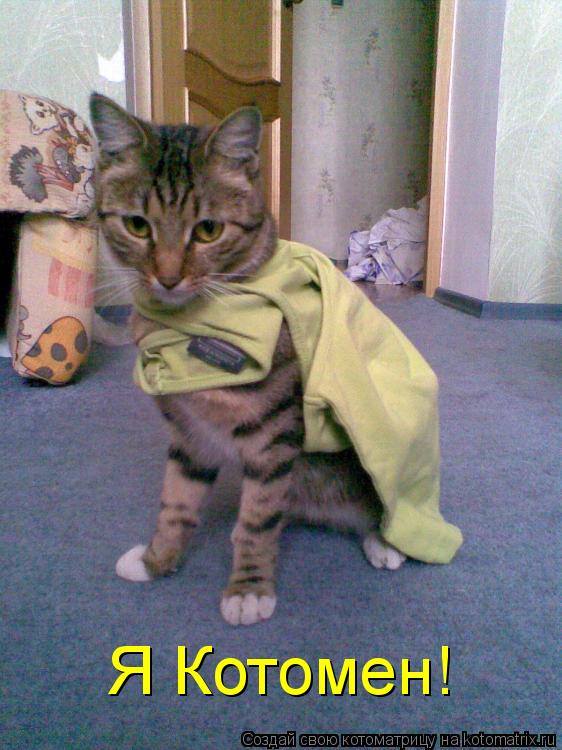 Я Котомен!... Котоматрица: Я Котомен!