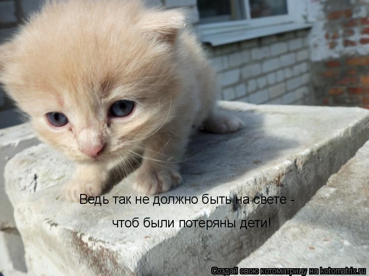 Котоматрица: Ведь так не должно быть на свете - чтоб были потеряны дети!