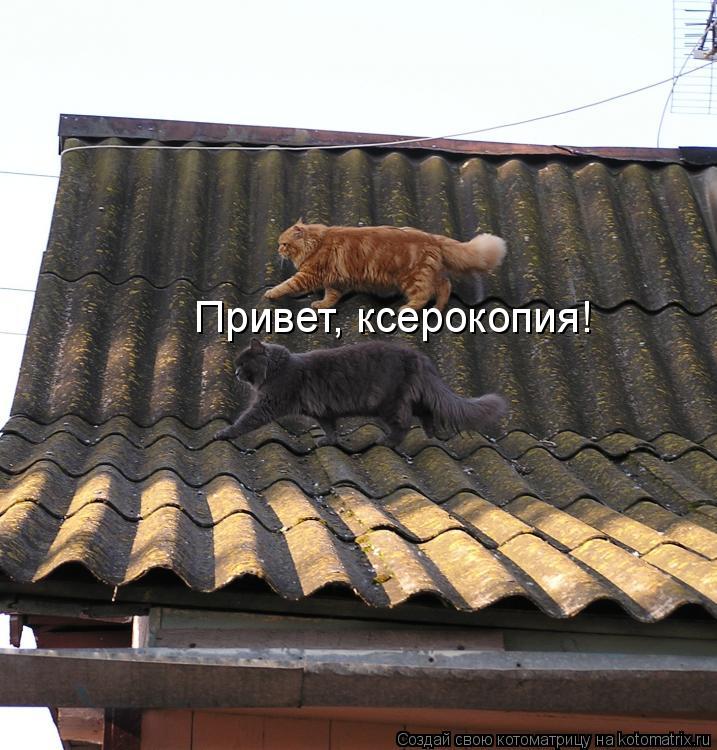 Привет, ксерокопия!... Котоматрица: Привет, ксерокопия!