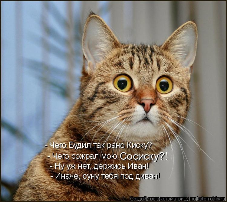 - Чего Будил так рано Киску? - Чего сожрал мою, Сосиску?! - Ну уж нет, держись Иван! - Иначе, суну... Котоматрица: - Чего Будил так рано Киску? - Чего сожрал мою, Сосиску?! - Ну уж нет, держись Иван! - Иначе, суну тебя под диван!
