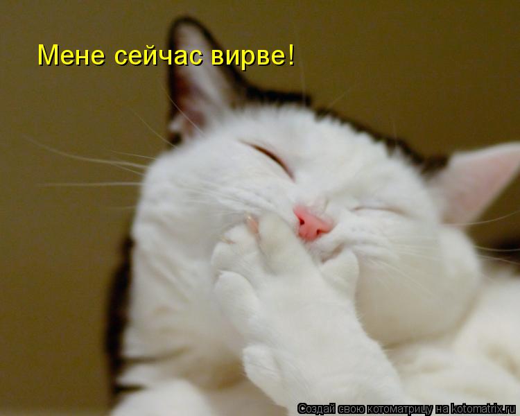 Мене сейчас вирве!... Котоматрица: Мене сейчас вирве!