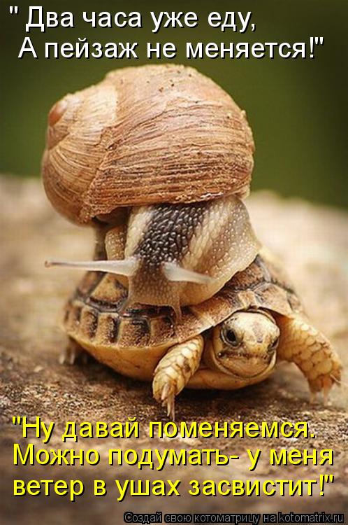 " Два часа уже еду, А пейзаж не меняется!" "Ну давай поменяемся. Можно подумать- у меня ветер в ушах... Котоматрица: " Два часа уже еду, А пейзаж не меняется!" "Ну давай поменяемся. Можно подумать- у меня ветер в ушах засвистит!"