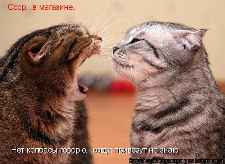 Ссср...в магазине... Нет колбасы говорю...когда привезут не знаю... Котоматрица: Ссср...в магазине... Нет колбасы говорю...когда привезут не знаю
