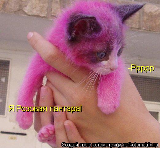 Я Розовая пантара! -Ррррр... Котоматрица: Я Розовая пантара! -Ррррр