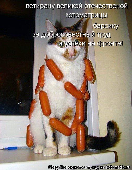 ветирану великой отечественой ... Котоматрица: ветирану великой отечественой котоматрицы
