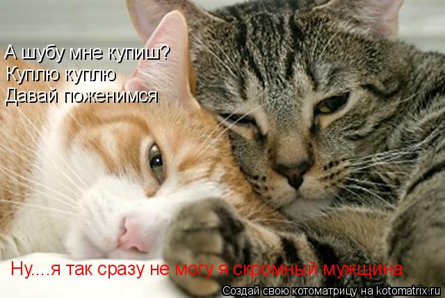 А шубу мне купиш? Куплю куплю Давай поженимся Ну....я так сразу не могу я скромный мужщина... Котоматрица: А шубу мне купиш? Куплю куплю Давай поженимся Ну....я так сразу не могу я скромный мужщина