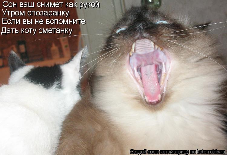 Сон ваш снимет как рукой Утром спозаранку, Если вы не вспомните Дать коту сметанку... Котоматрица: Сон ваш снимет как рукой Утром спозаранку, Если вы не вспомните Дать коту сметанку