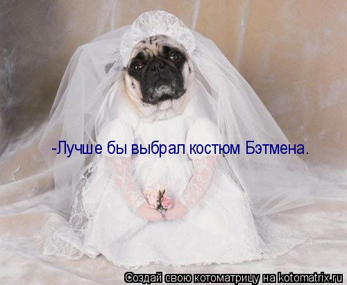 -Лучше выбрал костюм Бэтмена. -Лучше бы выбрал костюм Бэтмена.... Котоматрица: -Лучше выбрал костюм Бэтмена. -Лучше бы выбрал костюм Бэтмена.