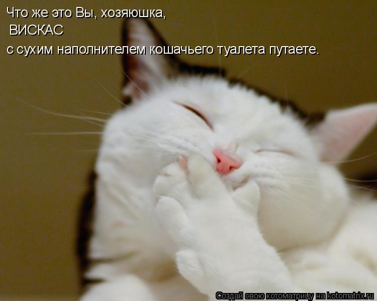 Что же это Вы, хозяюшка, ВИСКАС с сухим наполнителем кошачьего туалета путаете…... Котоматрица: Что же это Вы, хозяюшка, ВИСКАС с сухим наполнителем кошачьего туалета путаете…