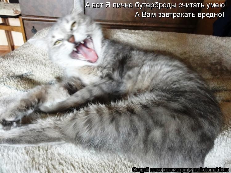 А вот Я лично бутерброды считать умею! А Вам завтракать вредно!... Котоматрица: А вот Я лично бутерброды считать умею! А Вам завтракать вредно!