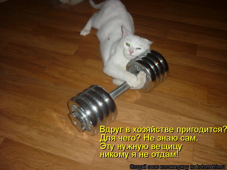 Вдруг в хозяйстве пригодится? Для чего? Не знаю сам. Эту нужную вещицу никому я не отдам!... Котоматрица: Вдруг в хозяйстве пригодится? Для чего? Не знаю сам. Эту нужную вещицу никому я не отдам!